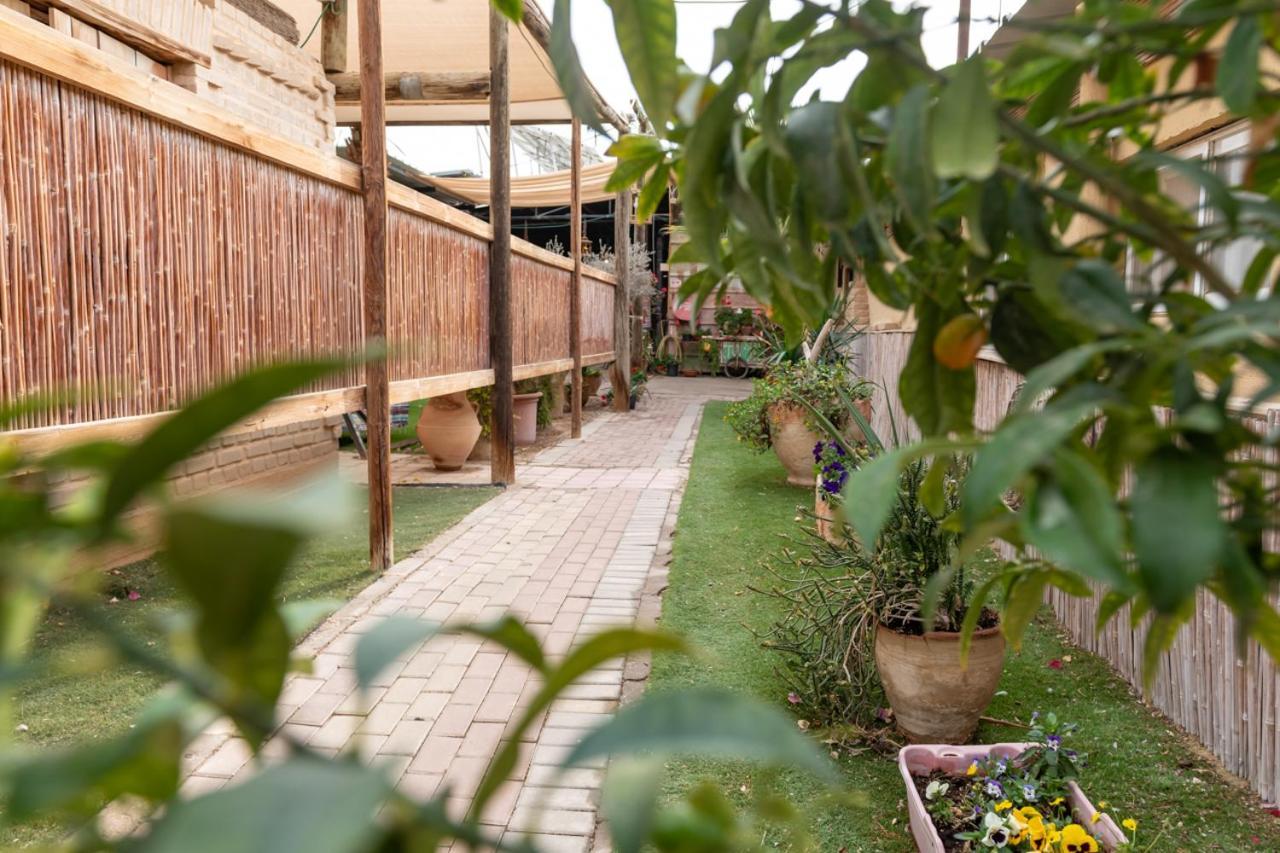 Desert Routes Inn Shvilim Ba Midbar Hazeva Exterior foto